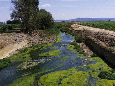 Eutrofización, arsénico, desertificación