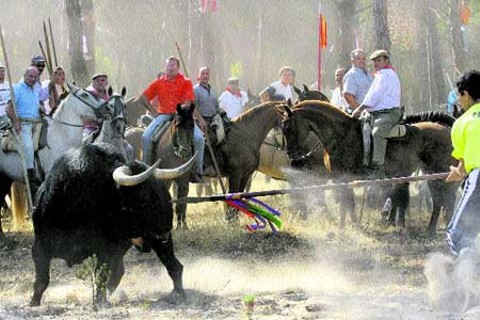 Facultad de Ciencias Biológicas contra los festejos taurinos