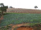 España y una nueva política agraria en común