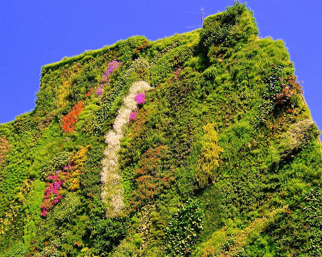 Jardines verticales. Enverdeciendo la ciudad