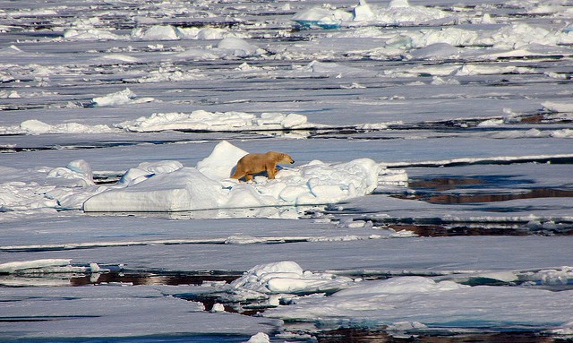 Se derrite el hielo y sube la temperatura en el Ártico
