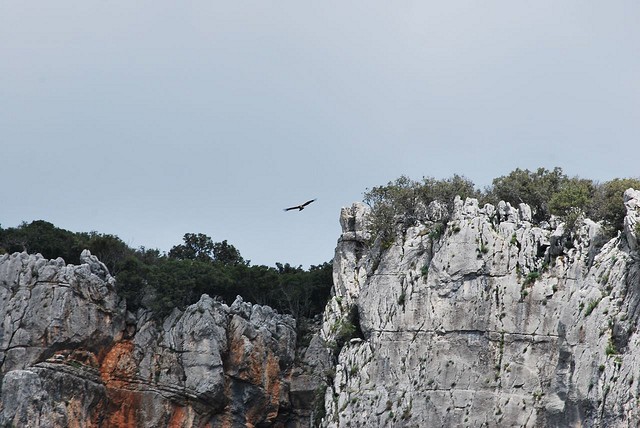 Sierras de Cazorla, Segura y las Villas