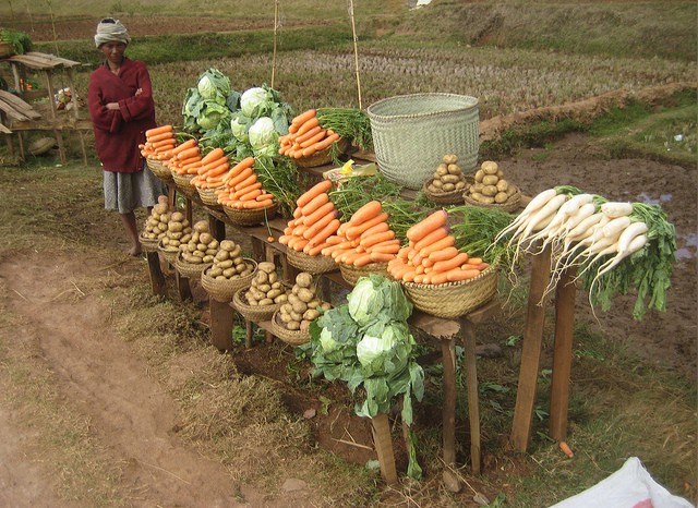 Creación de Cooperativas de Consumo Agroecológico