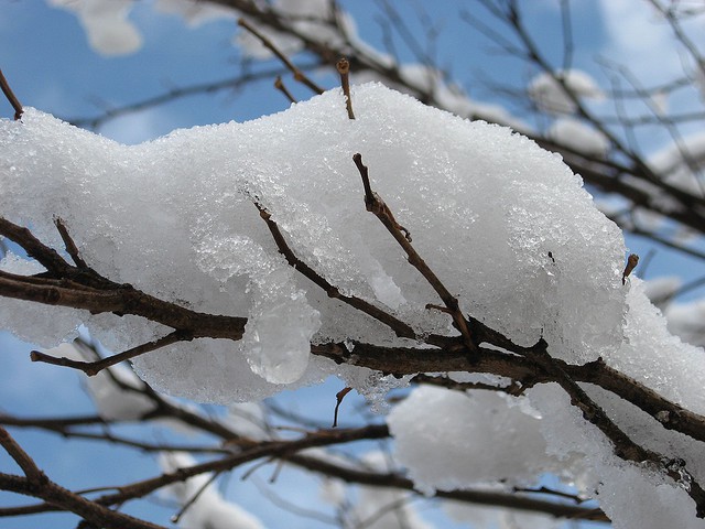 Crear nubes para que nieve