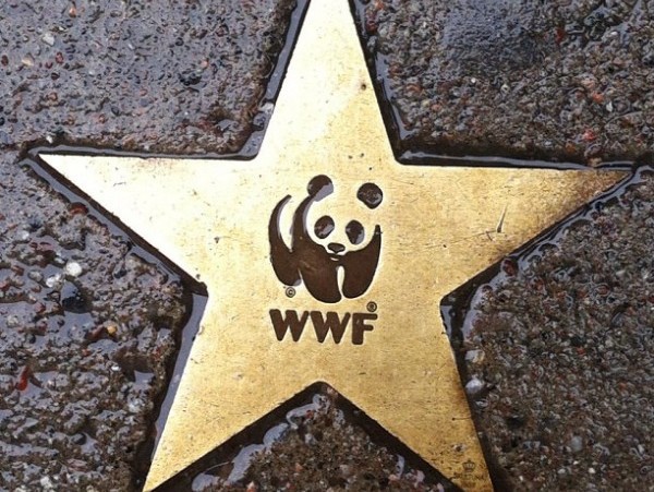 WWF prescinde del presidente de honor