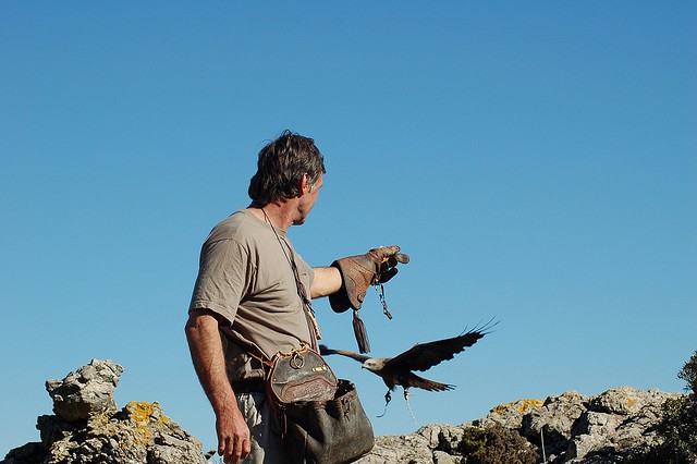 Primeros auxilios a rapaces