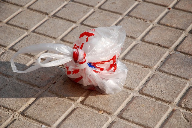 Francia anuncia su intención de prohibir las bolsas de plástico contaminantes