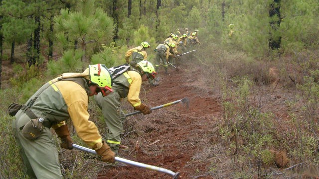 Comienza la campaña de verano para la prevención de incendios