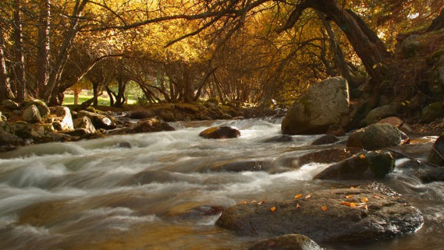 El Otoño, una estación única para disfrutar de la naturaleza