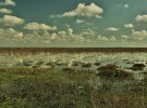 Ecologistas en Acción denuncia la impunidad de los furtivos en Doñana