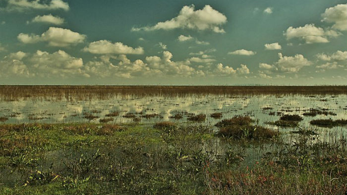 Ecologistas en Acción denuncia la impunidad de los furtivos en Doñana