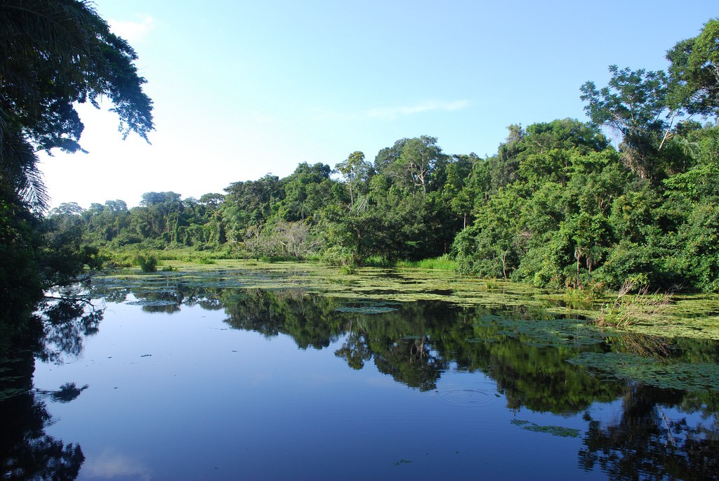 Algunas curiosidades sobre la Amazonia