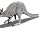 El canguro gigante, un animal extinto impresionante