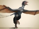 Yi qi, el dinosaurio del que podrían venir las aves