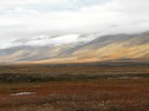 La tundra, el bioma más frío del planeta