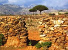 Socotra, una sorprendente isla de Yemen