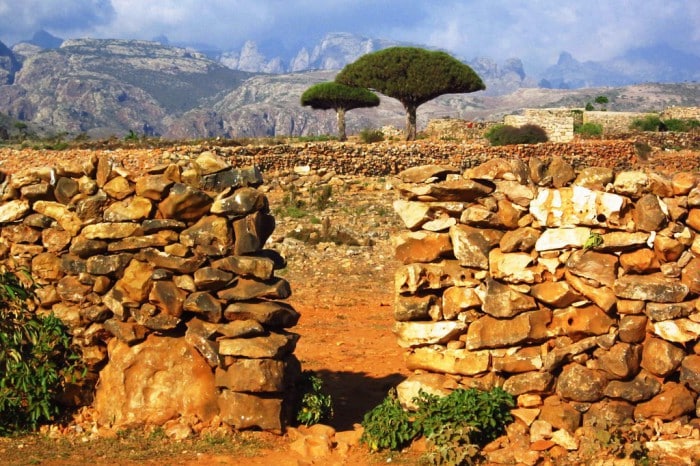 Socotra, una sorprendente isla de Yemen