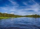Lo que debes de saber sobre la Amazonia I