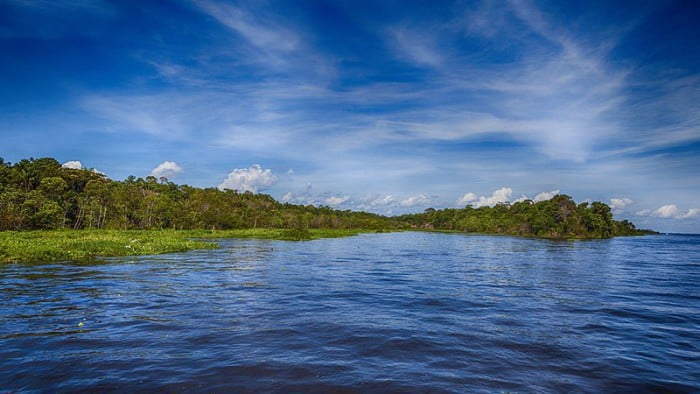 Lo que debes de saber sobre la Amazonia
