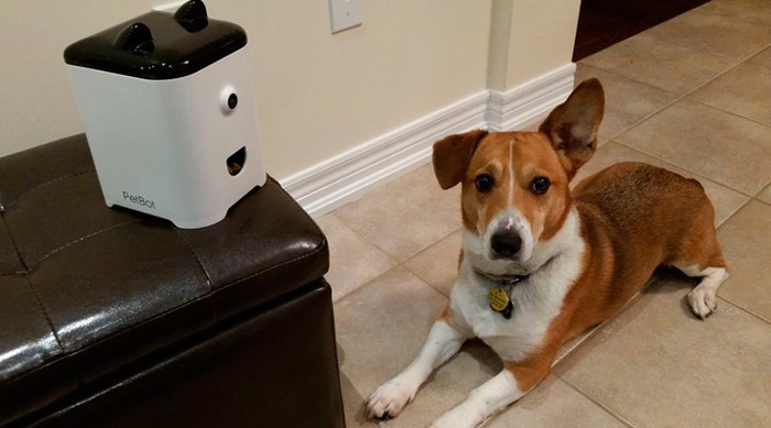 PetBot, Así puedes controlar a tus mascotas con el smartphone