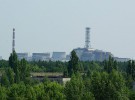 Chernóbil 30 años después: la vida animal se abre camino