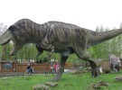 Algunas curiosidades sobre los dinosaurios
