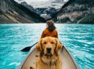 Aspen, así es el perro que tiene más de 130.000 seguidores en Instagram