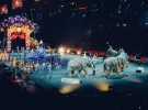 Las asociaciones piden terminar con las subvenciones a los circos que usen animales