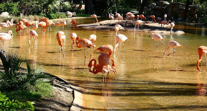 El Zoo de Barcelona es denunciado por asesinar animales sanos recién nacidos