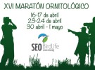 El maratón ornitológico 2016 de SEO/Birdlife ya tiene fechas