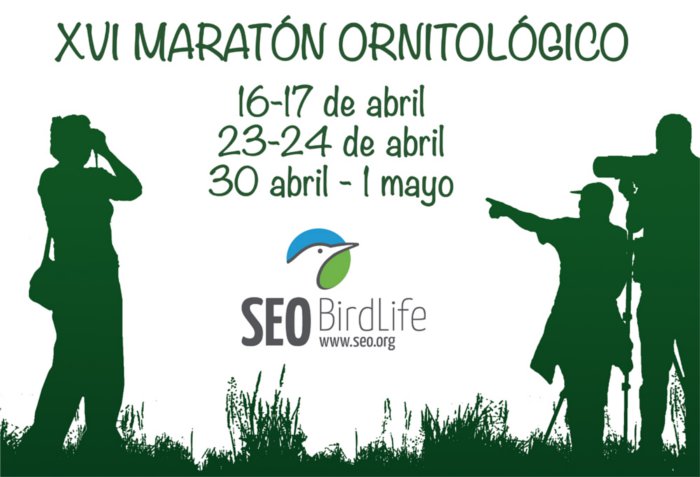 El maratón ornitológico 2016 de SEO/Birdlife ya tiene fechas