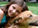 Un estudio demuestra que los perros pueden curar los dolores físicos de los niños