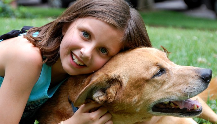 Un estudio demuestra que los perros pueden curar los dolores físicos de los niños