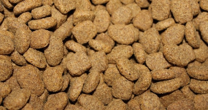 Comida para perros