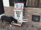 Así son las nuevas máquinas expendedoras de comida para mascotas