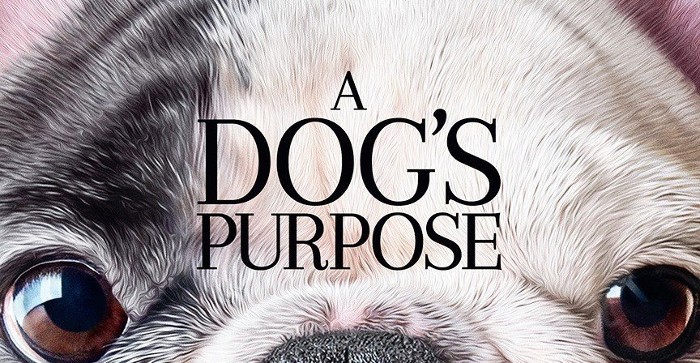 Denuncian el estreno de A Dog’s Purpose por maltratar animales