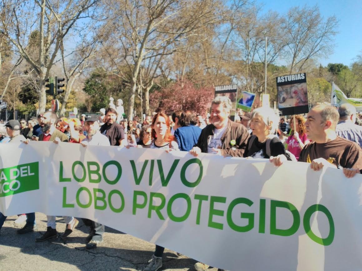 La defensa del lobo ibérico reúne a miles de manifestantes en Madrid