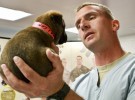 ¿Qué hacer si vuestro veterinario no os atiende correctamente?