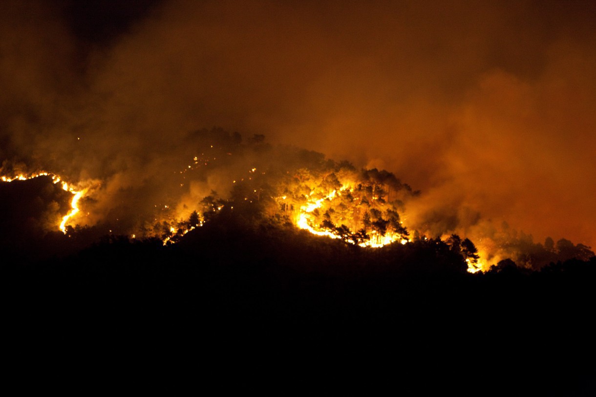 El trágico incendio de Doñana sacude el corazón de la recuperación del lince ibérico