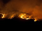 El trágico incendio de Doñana sacude el corazón de la recuperación del lince ibérico