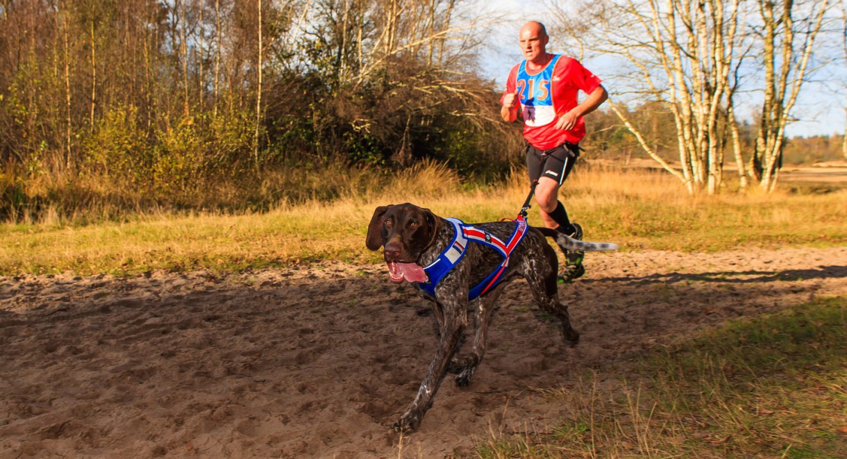 Canicross, el arte de correr con el perro