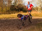 Canicross, el arte de correr con el perro
