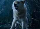 Peter Dinklage, actor de Juego de Tronos, solicita que no se compren más huskies
