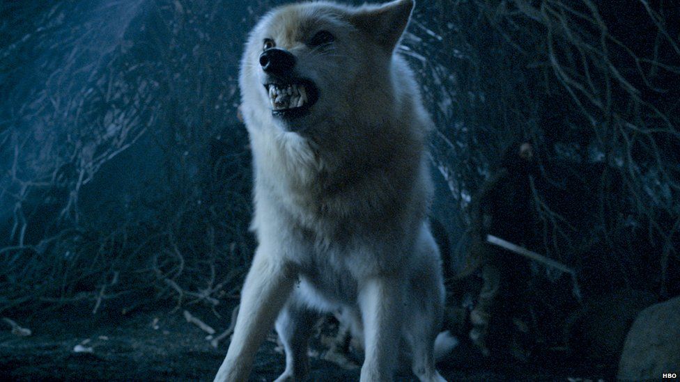 Peter Dinklage, actor de Juego de Tronos, solicita que no se compren más huskies