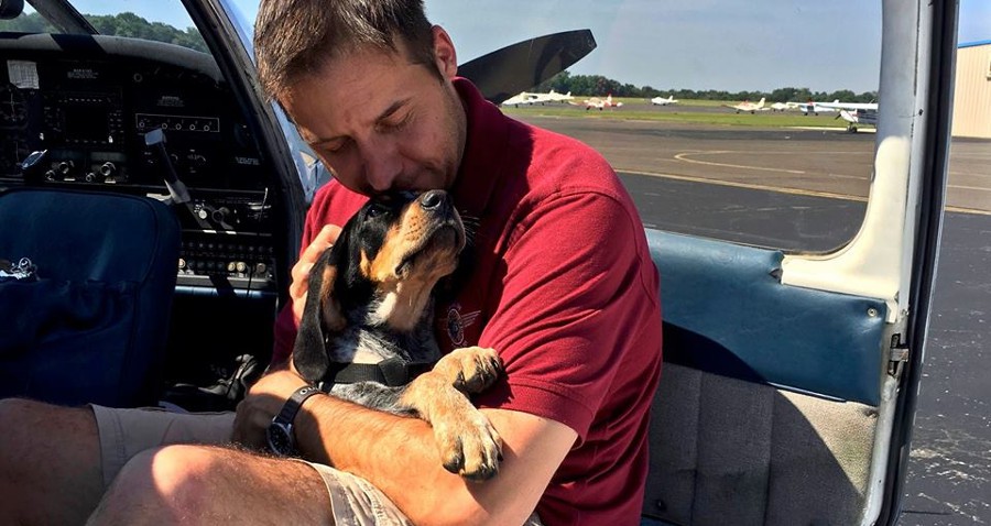 Compra un avión… Para poder salvar a más animales