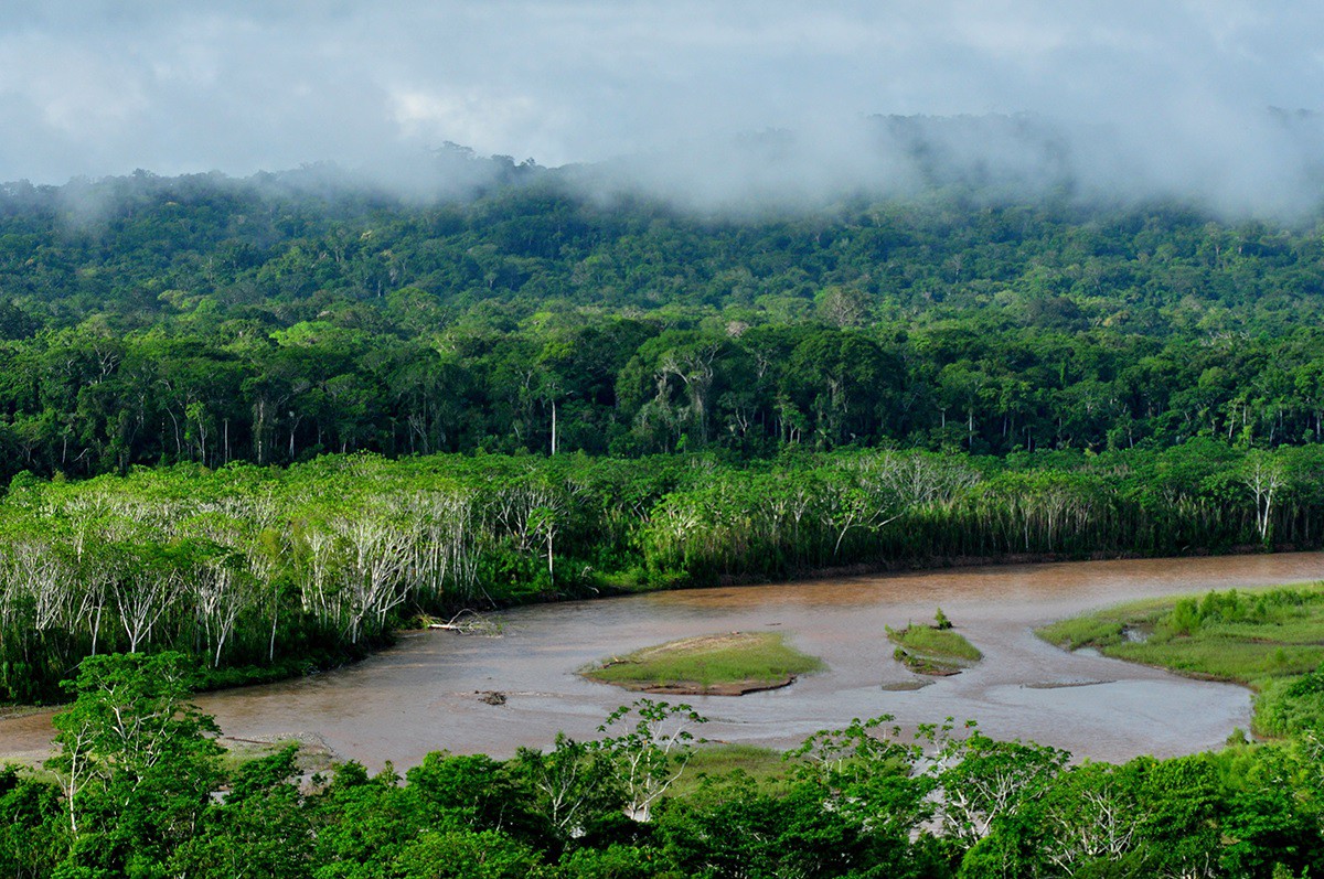 Científicos españoles comprarán 100.000 hectáreas de Amazonas