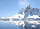 El 79% de la biodiversidad antártica podría desaparecer