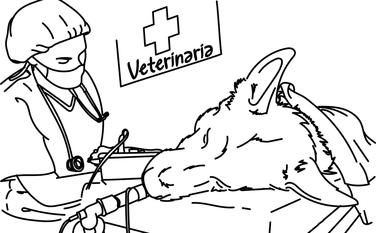 Профессия ветеринар раскраска