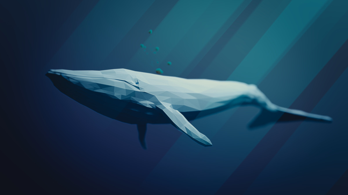 La ballena azul, el ser vivo de mayor tamaño de la Tierra