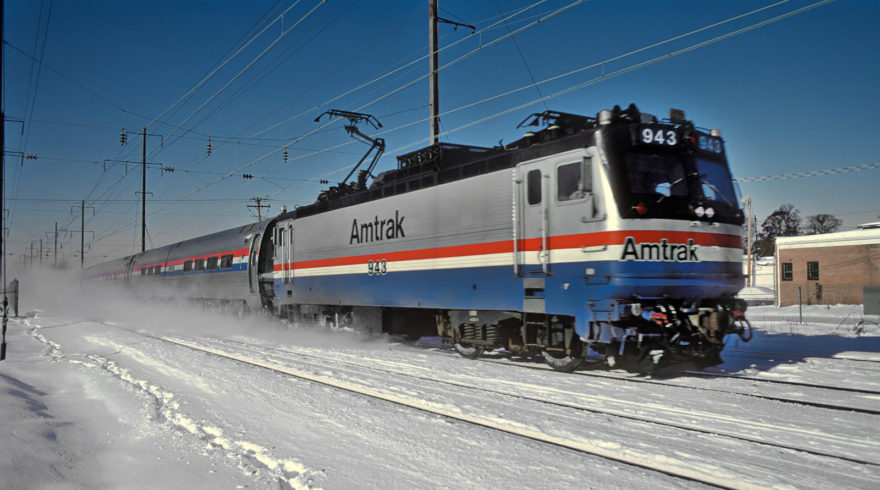 se permiten perros de terapia en los trenes de amtrak